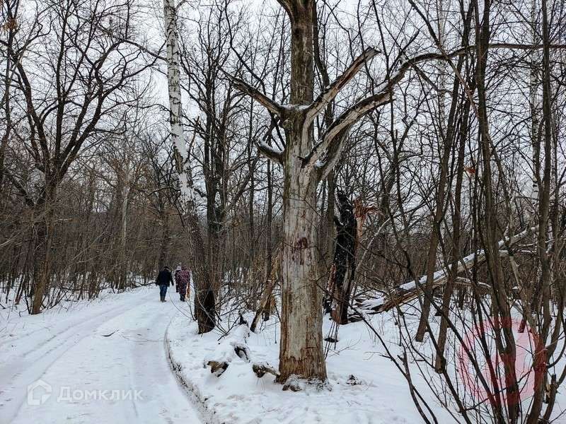 земля г Самара снт Студеный овраг городской округ Самара, 3-я линия, СДТ фото 8