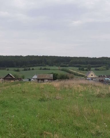Новочершилинское сельское поселение, Лениногорск фото