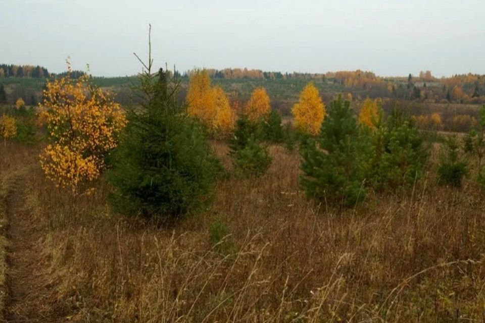 земля г Бор мкр 2-й городской округ Бор, Микрорайон фото 1