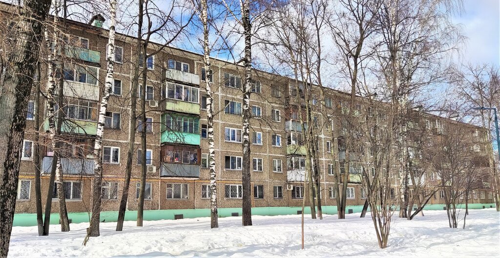 квартира г Балашиха ул Карбышева 29 Кучино фото 19