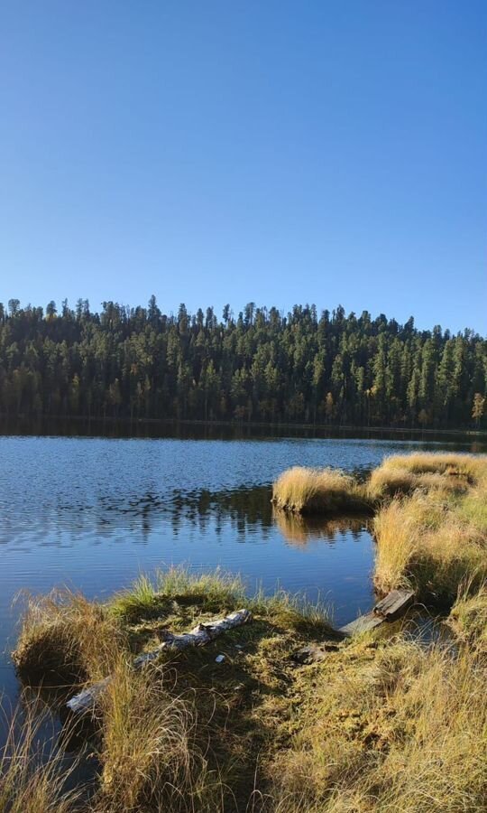 земля р-н Турочакский с Турочак озеро Пландукель фото 8