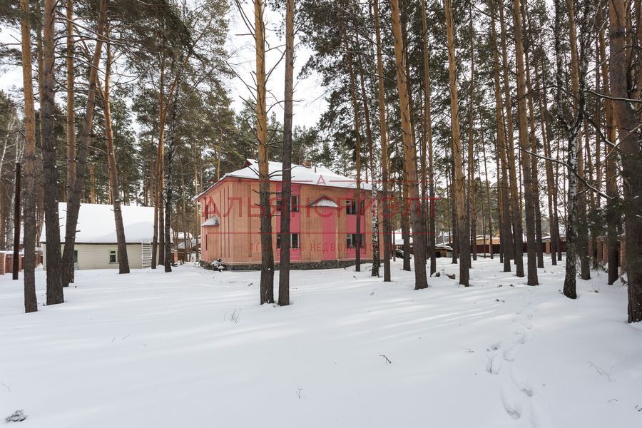 дом р-н Новосибирский дачный посёлок Кудряшовский фото 2