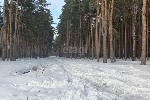 Октябрьский округ, городской округ Липецк фото