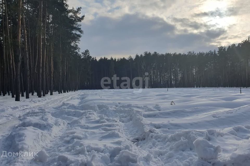 земля г Липецк Октябрьский округ, городской округ Липецк фото 8