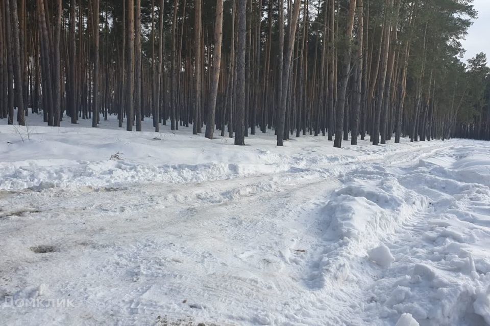 земля г Липецк Октябрьский округ, городской округ Липецк фото 9