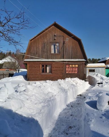 Лесной фото