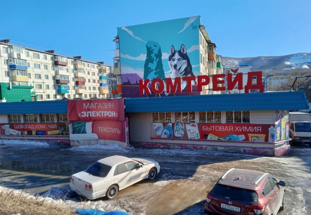 торговое помещение г Петропавловск-Камчатский ул Пограничная 24 фото 1
