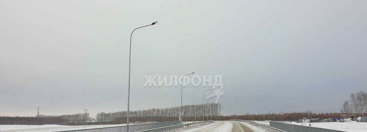 земля р-н Новосибирский снт Энергия-5 пер Ромашковый Новолуговской сельсовет фото 12