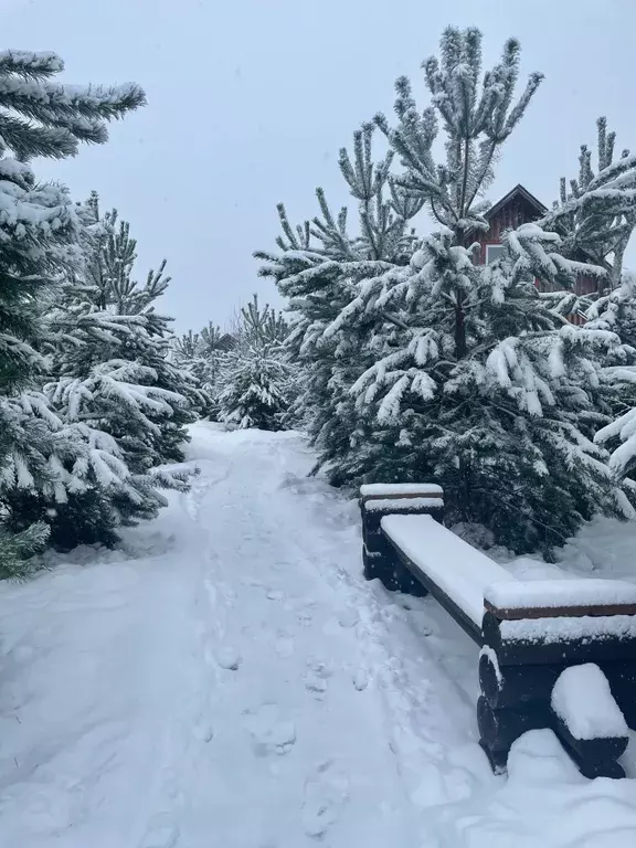 дом р-н Тарусский с Волковское СНТ Окский Хутор, Светлая улица, 1 фото 2