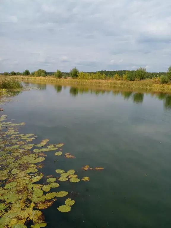 квартира г Воронеж ул Сельская 2/1 фото 15