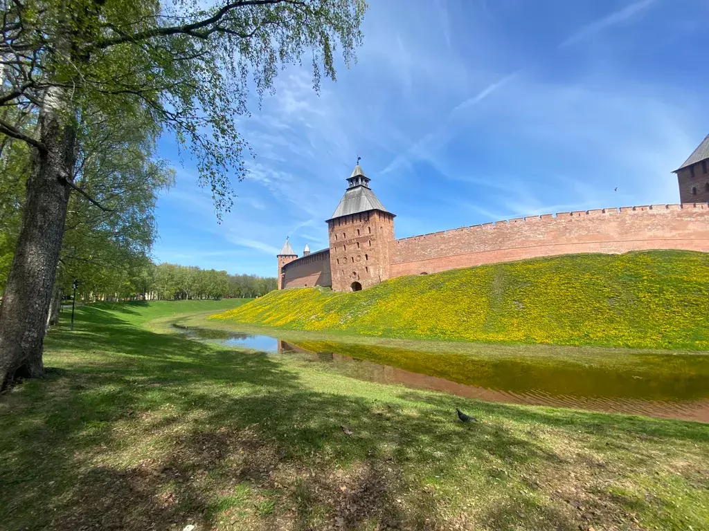 квартира г Великий Новгород ул Орловская 37 фото 15