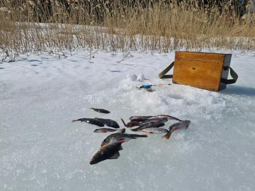 дом Никола-Рожок, Лесная улица, 18 фото 17