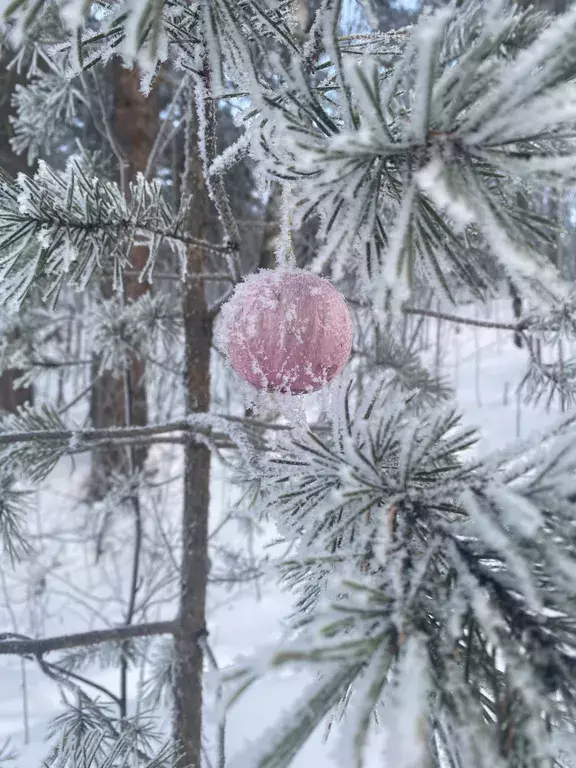 дом р-н Кондопожский д Лижма Кедрозерское СП, 105, Кондопога фото 30