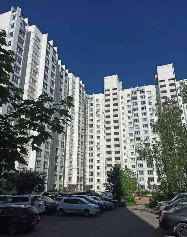 квартира г Пушкино снт Зеленоград Андреевка улица, 41 фото 21