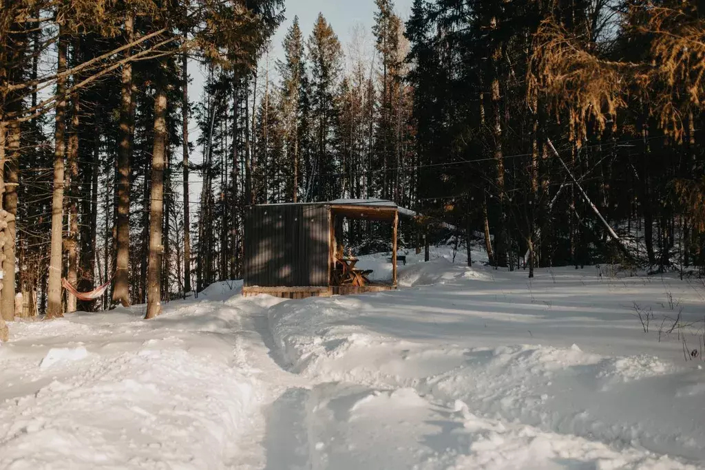 дом Деревенская улица, б/н, Пермь, Гари деревня фото 13