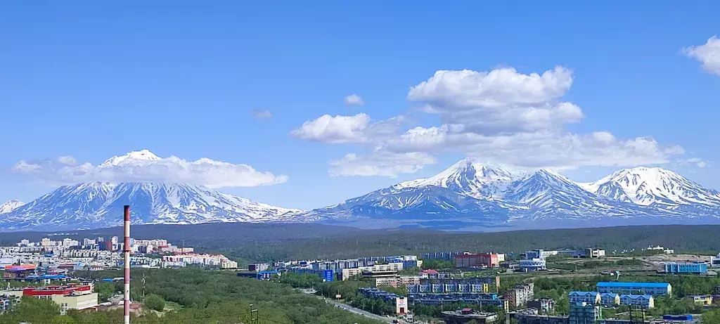 квартира г Петропавловск-Камчатский ул Владивостокская 41/3 фото 8