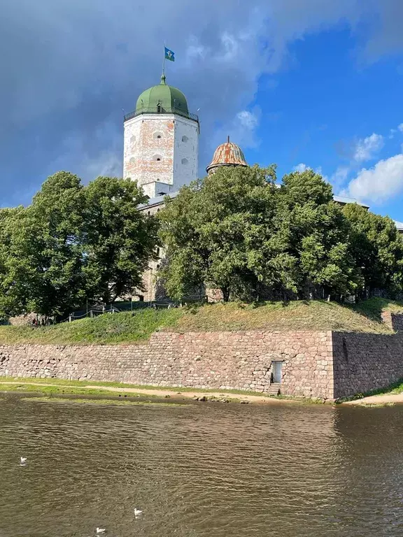 квартира р-н Выборгский г Выборг пр-кт Московский 9 фото 38