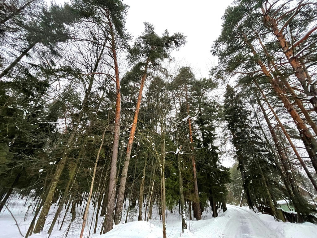 земля г Красногорск снт Опалиха фото 2