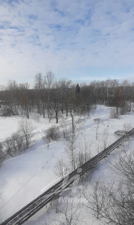 квартира городской округ Чехов с Талалихино Талалихино с. Спортивная ул., 3 фото 12