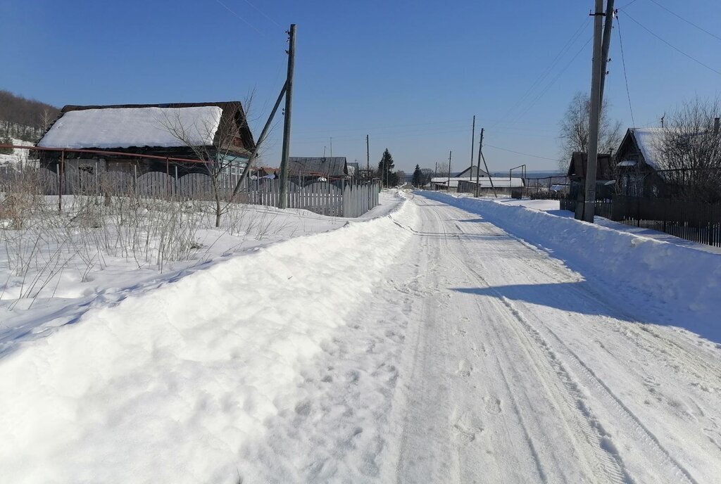 земля р-н Лунинский с Большой Вьяс ул Первомайская фото 5