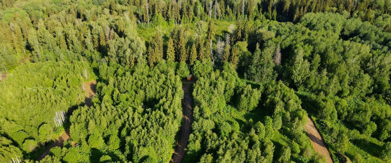 земля г Балашиха кв-л Изумрудный Дмитровский городской округ фото 5