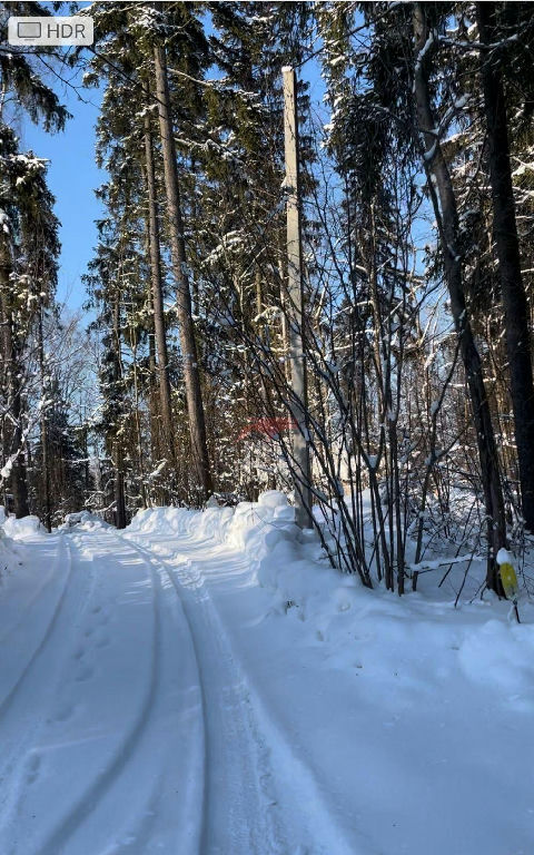 земля городской округ Мытищи п Трудовая фото 9