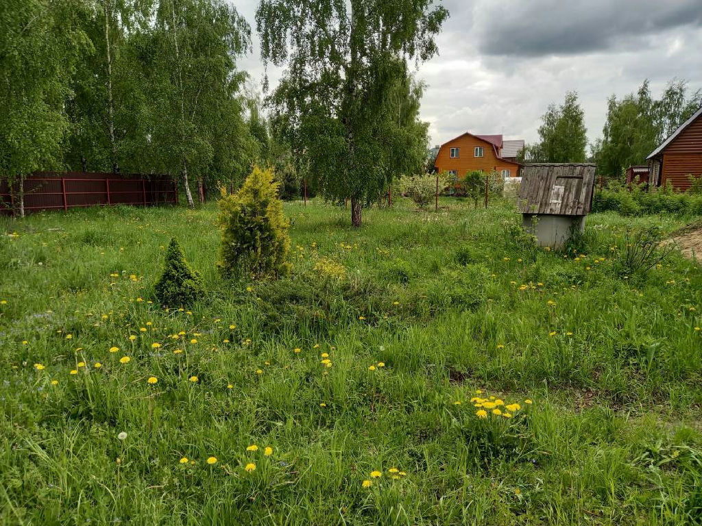 дом городской округ Раменский днп Русская сказка ДНП фото 18