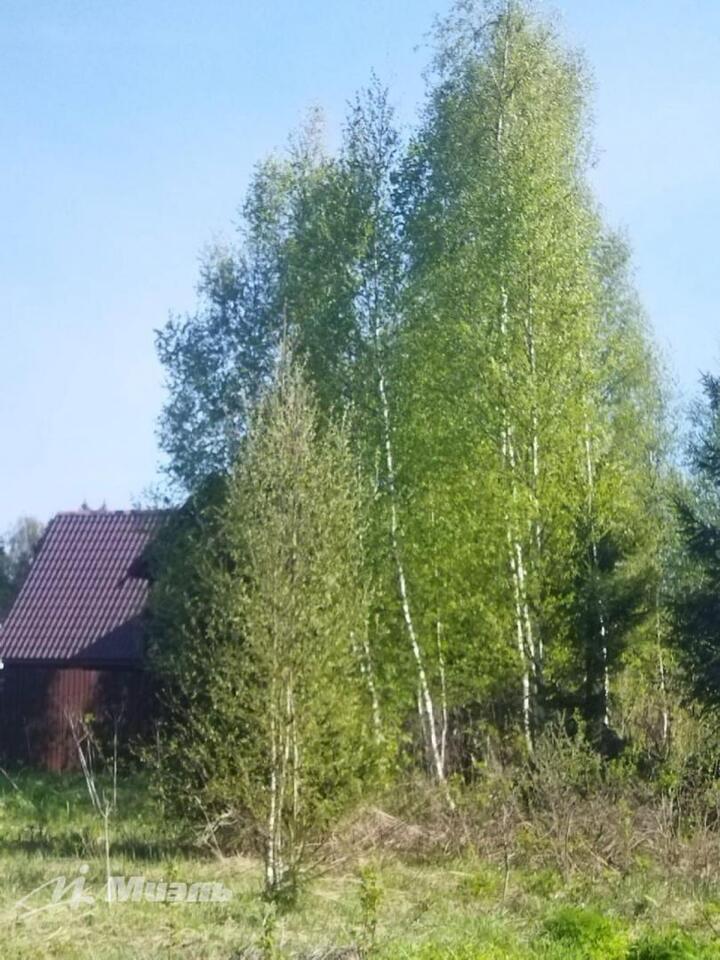 земля городской округ Солнечногорск д Толстяково фото 2