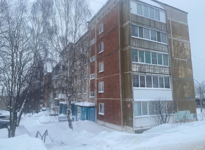 квартира г Соликамск ул Бабушкина 15 Соликамский городской округ фото 1