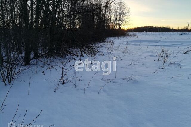 урочище Таволожное, городской округ Ханты-Мансийск фото