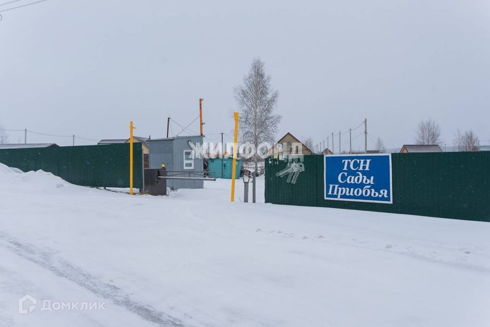 земля р-н Новосибирский посёлок Красный Яр фото 1
