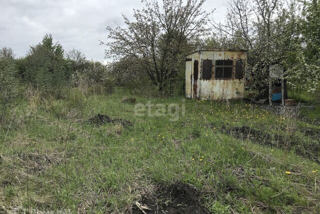 городской округ Саранск, СНТ Озёрное, 24 фото