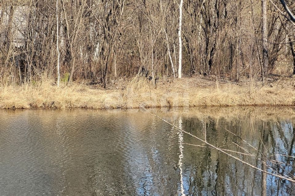 земля г Благовещенск село Верхнеблаговещенское, городской округ Благовещенск фото 7