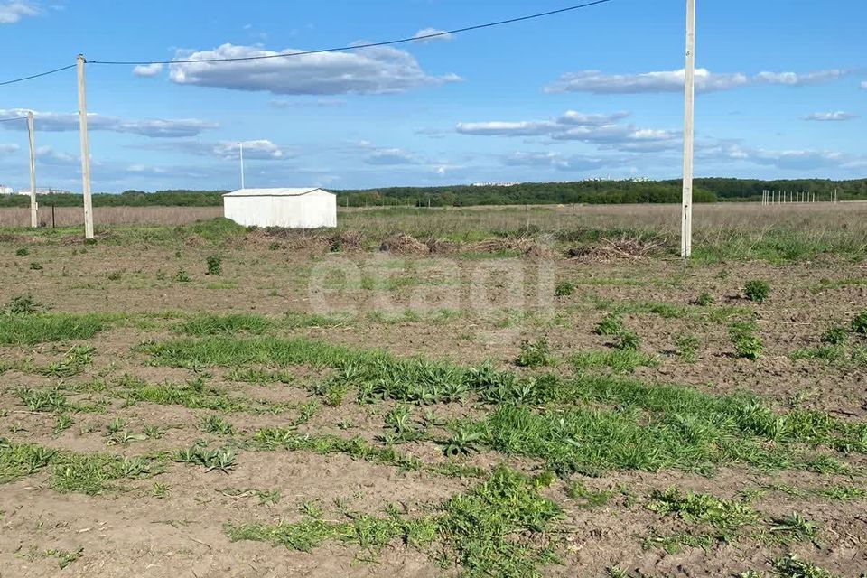 земля г Воронеж ул Репненская городской округ Воронеж фото 2