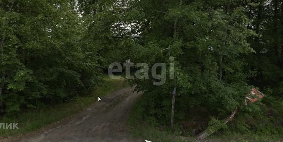 земля г Тобольск садоводческое товарищество Вымпел, городской округ Тобольск фото 1