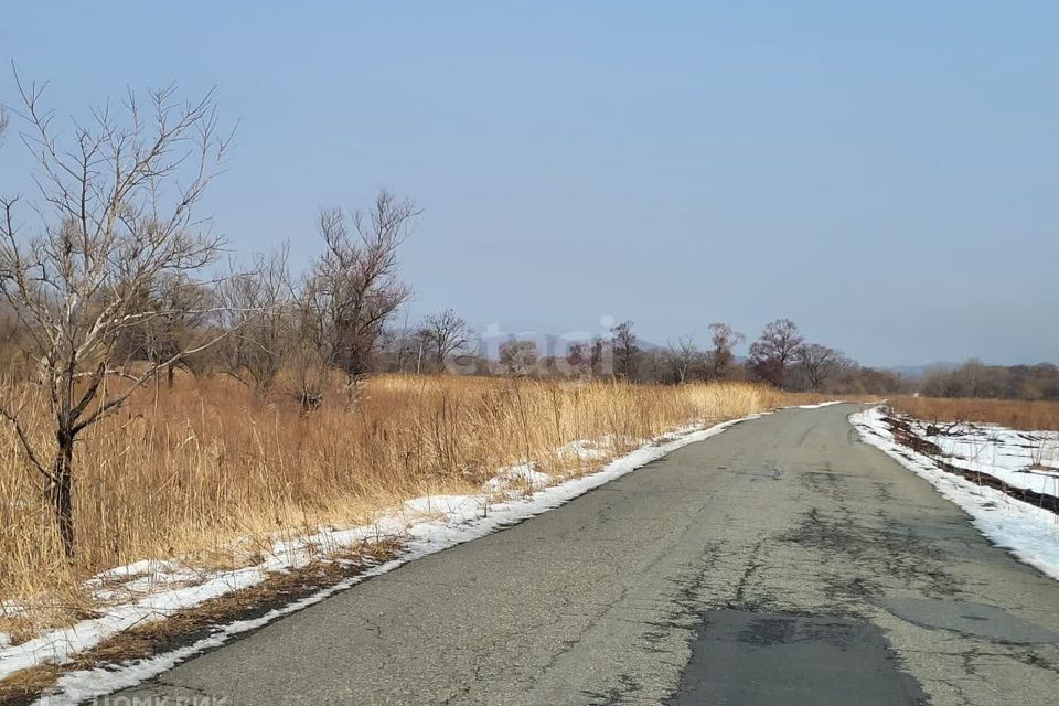 земля р-н Партизанский село Золотая Долина фото 4