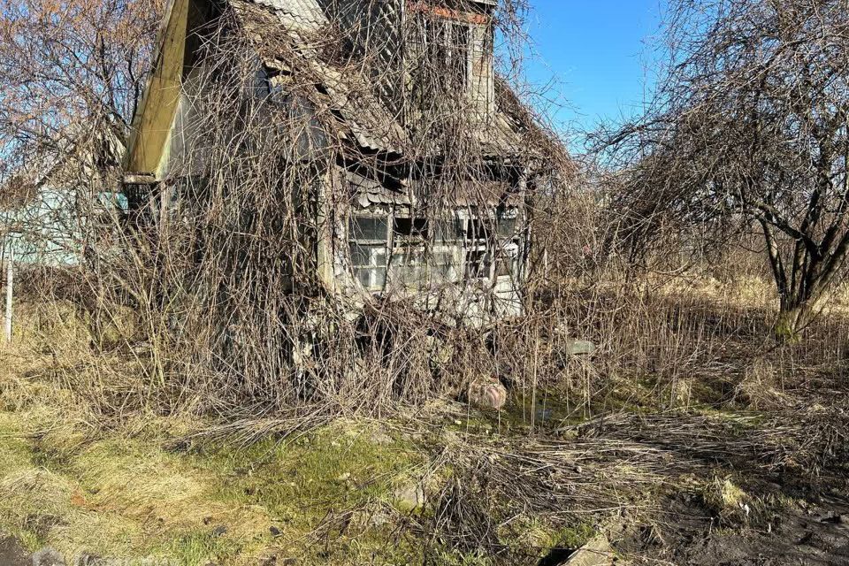 земля г Калининград снт 50 лет Октября ул Садовая 1 городской округ Калининград фото 6