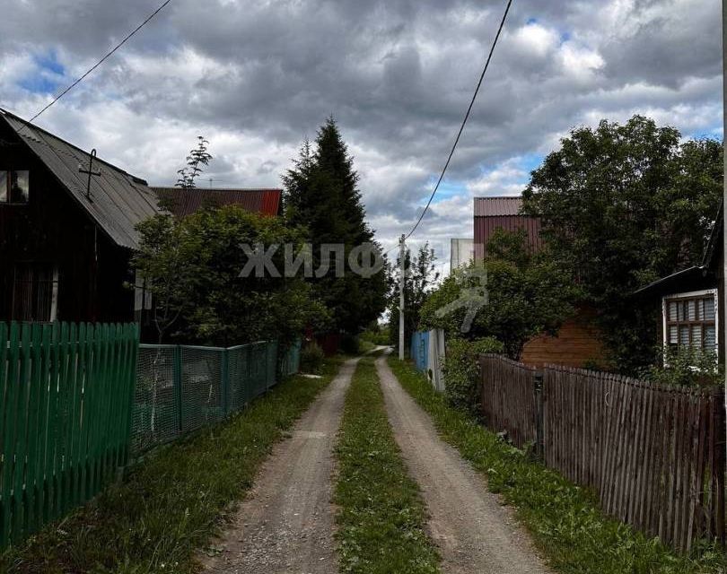 дом р-н Новосибирский село Плотниково фото 3