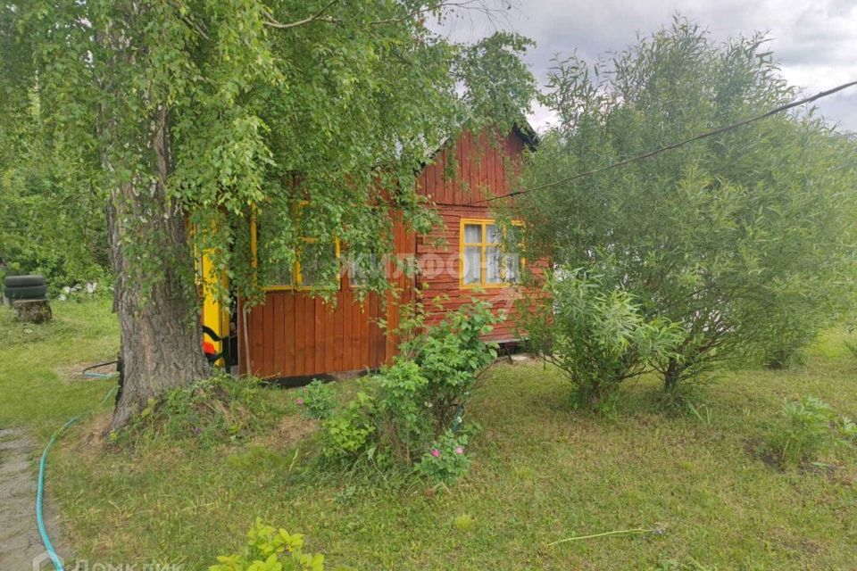 дом р-н Новосибирский село Плотниково фото 5