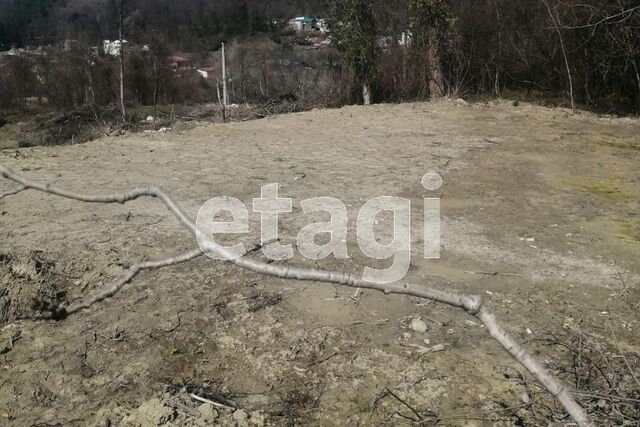 городской округ Сочи, Лазаревский район фото