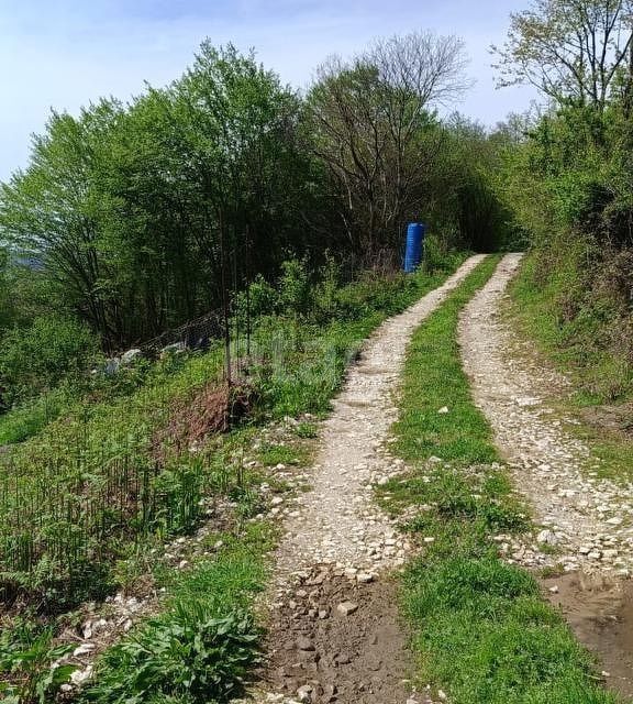 земля г Сочи с Галицыно городской округ Сочи, СТ Строитель СУ-2 фото 1