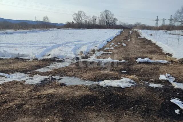 село Верхнеблаговещенское, городской округ Благовещенск фото