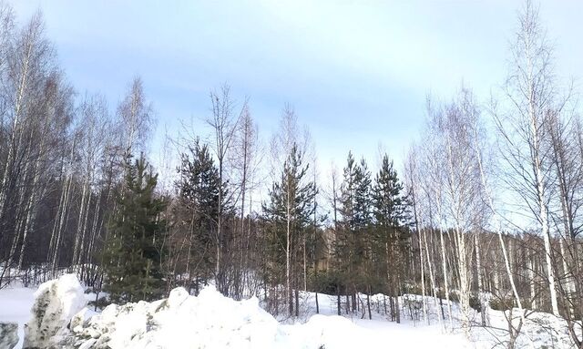 городской округ Дегтярск, Дегтярск фото