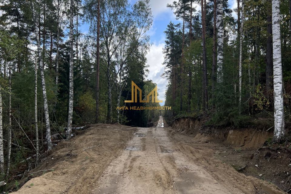 земля р-н Всеволожский Токсовское городское поселение фото 2