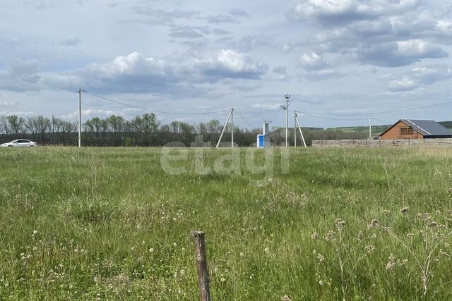 земля деревня Старая Чекаевка фото