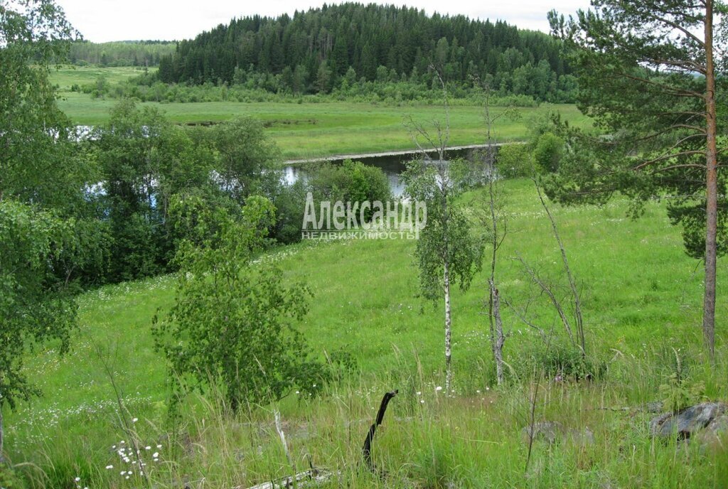 земля г Сортавала пгт Хелюля Сортавальское городское поселение фото 2