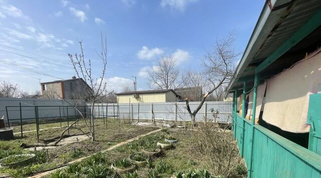 муниципальное образование, Кубаночка-Белозерный садовое товарищество фото