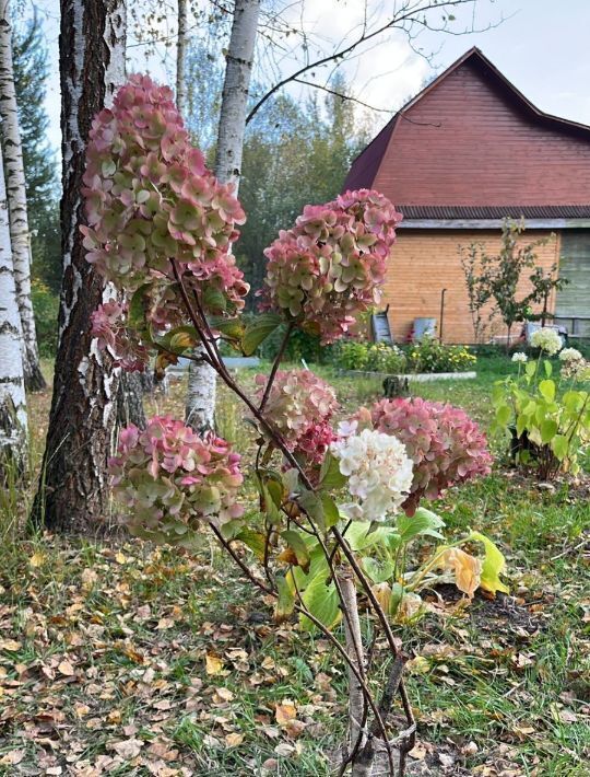 дом р-н Конаковский снт Радуга 609 фото 23