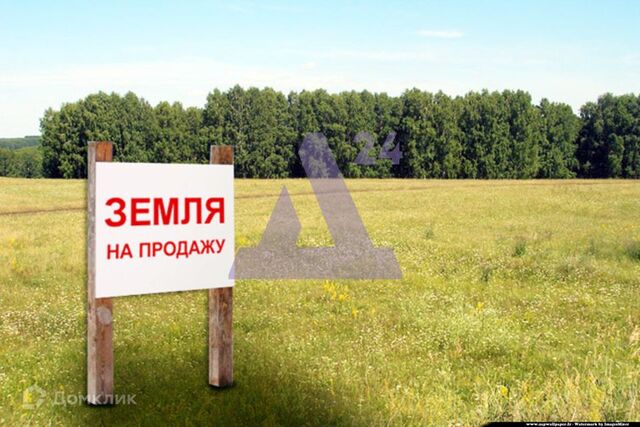 земля с Берёзовка пер Гагарина фото