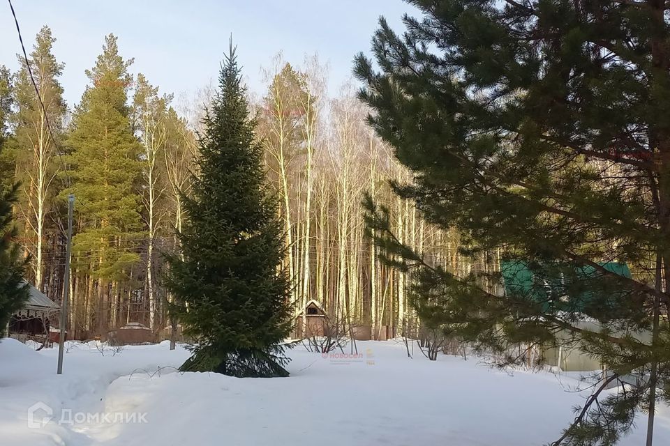 земля г Екатеринбург Екатеринбург, садоводческое некоммерческое товарищество Юринский, муниципальное образование фото 4